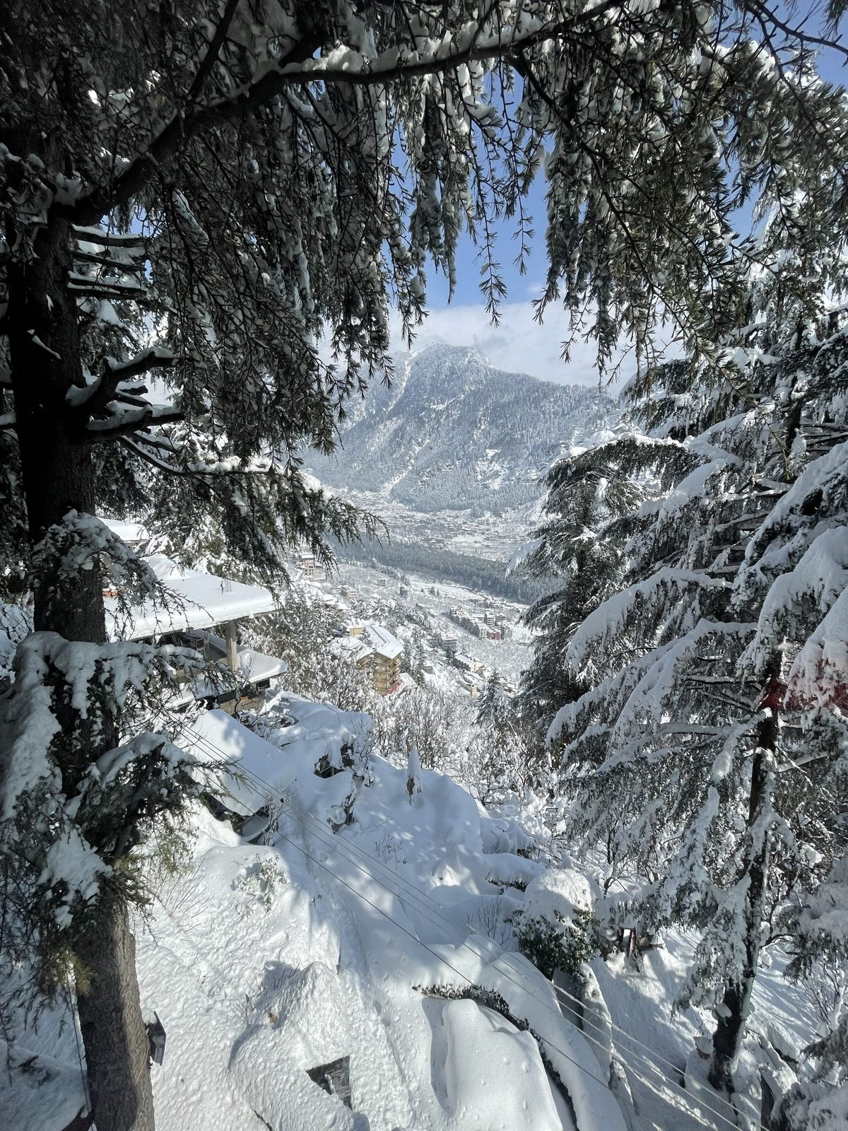 Snow-covered valley town framed by cedar branches